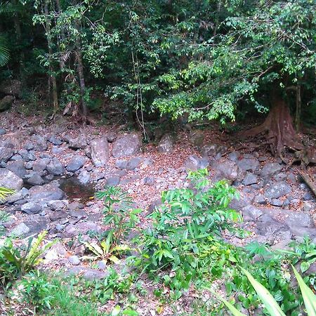 Black Palm Cape Tribulation Exterior photo