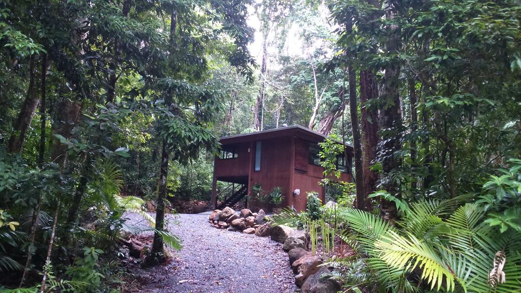 Black Palm Cape Tribulation Room photo
